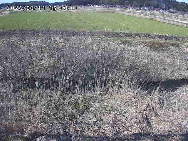 朝鍋川１2026/03/11 16:10:00
