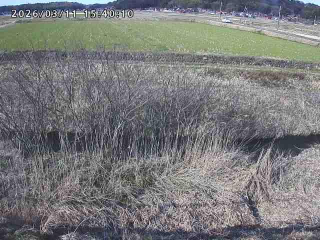 朝鍋川１2026/03/11 16:10:00