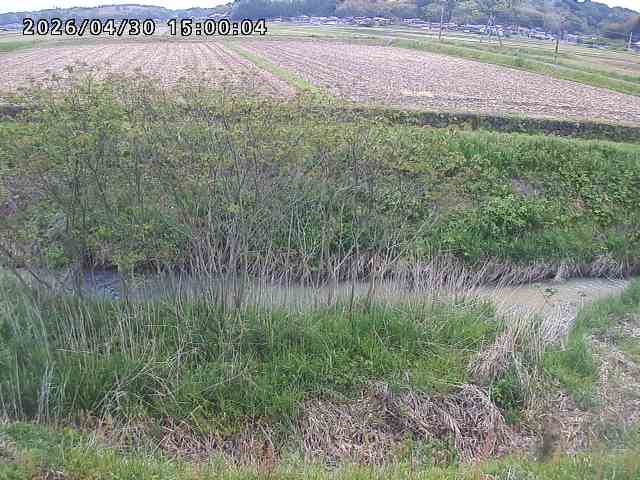 朝鍋川１2026/05/01 15:10:00