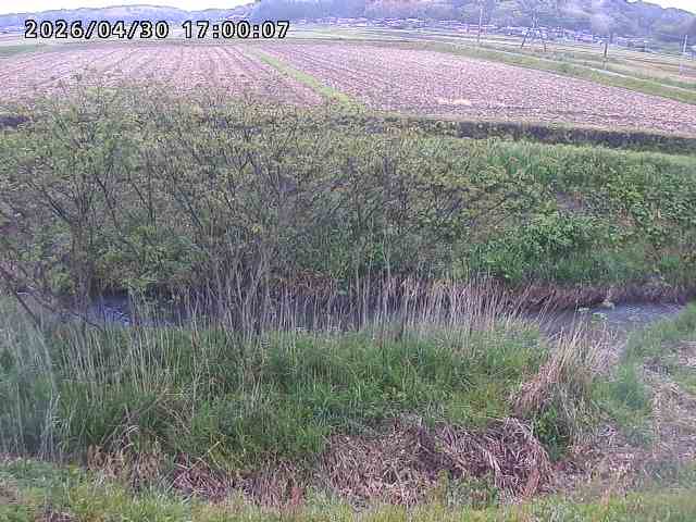 朝鍋川１2026/05/01 15:10:00