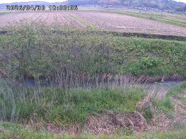 朝鍋川１2026/05/01 15:10:00