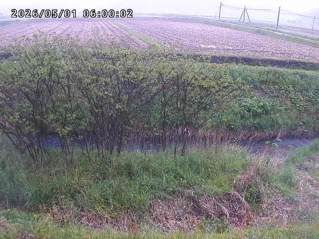 朝鍋川１2026/05/01 15:10:00