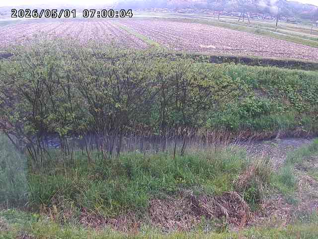 朝鍋川１2026/05/01 15:10:00