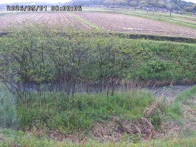 朝鍋川１2026/05/01 15:10:00