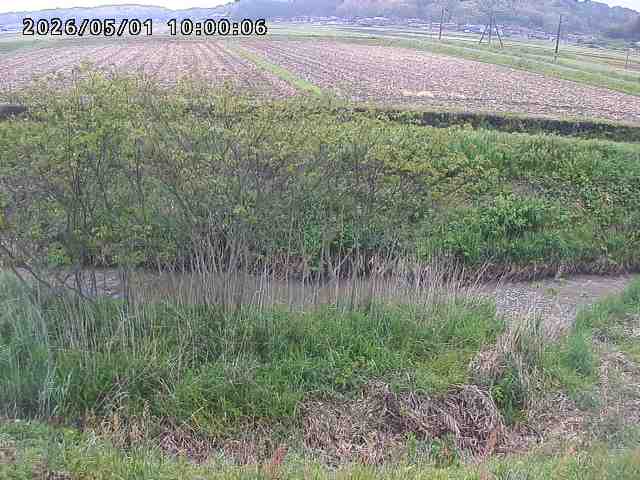 朝鍋川１2026/05/01 15:10:00