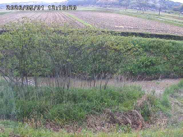 朝鍋川１2026/05/01 15:10:00