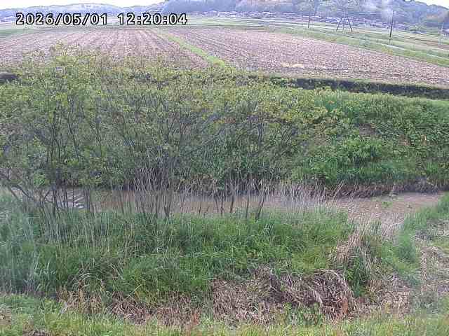 朝鍋川１2026/05/01 15:10:00
