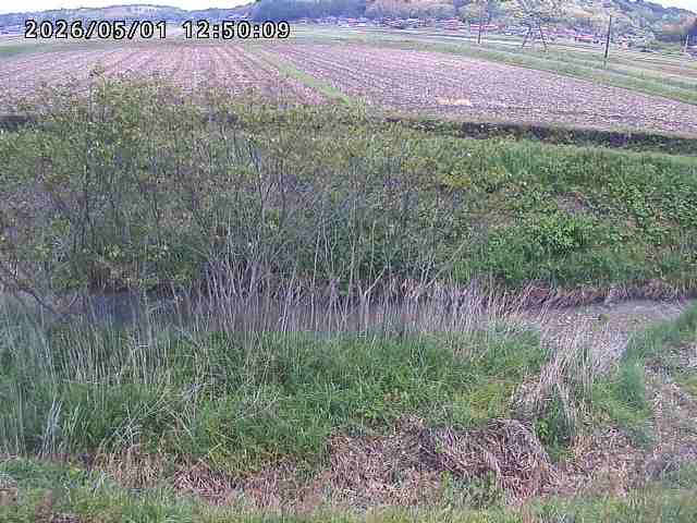 朝鍋川１2026/05/01 15:10:00