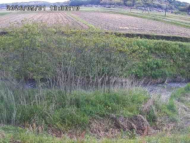 朝鍋川１2026/05/01 15:10:00
