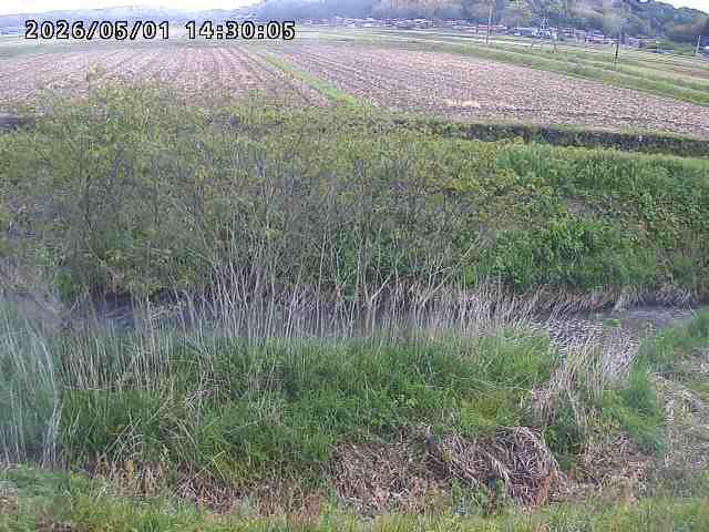 朝鍋川１2026/05/01 15:10:00