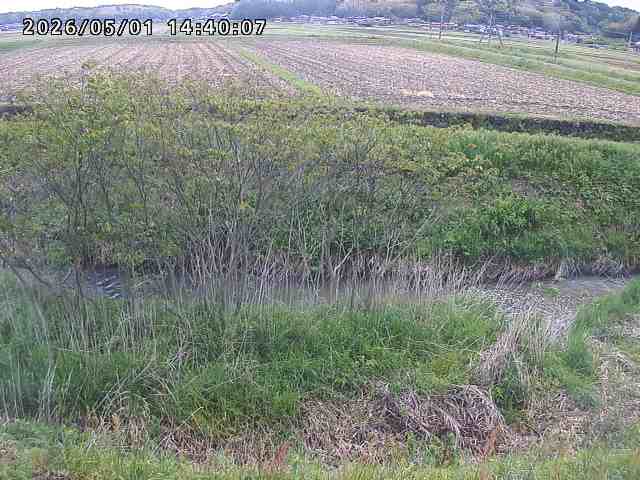 朝鍋川１2026/05/01 15:10:00