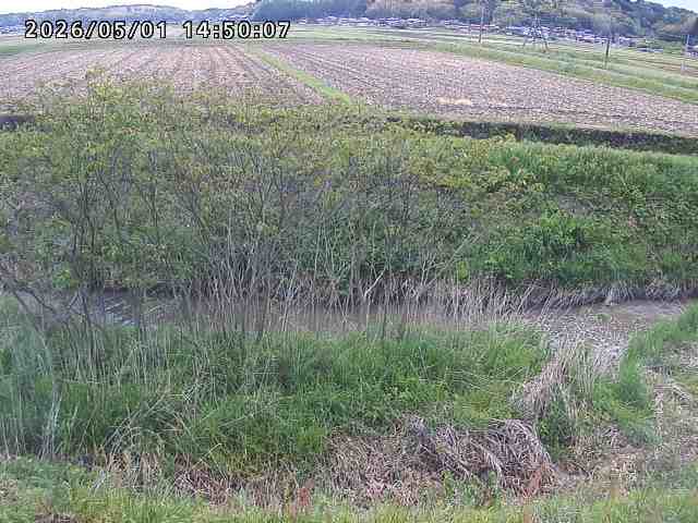 朝鍋川１2026/05/01 15:10:00