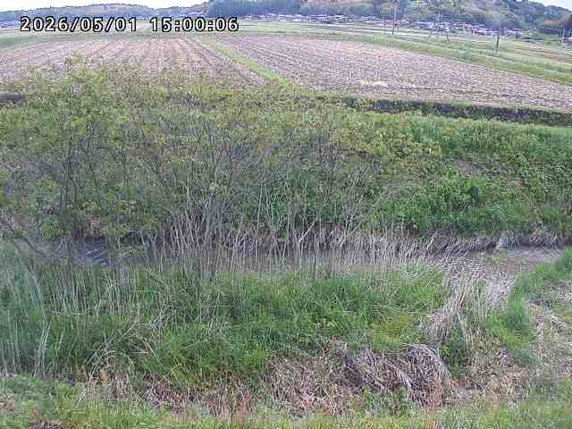 朝鍋川１2026/05/01 15:10:00