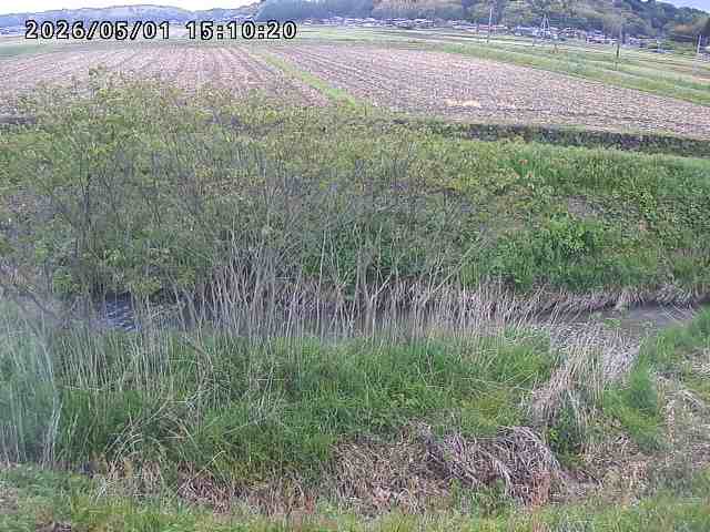 朝鍋川１2026/05/01 15:10:00