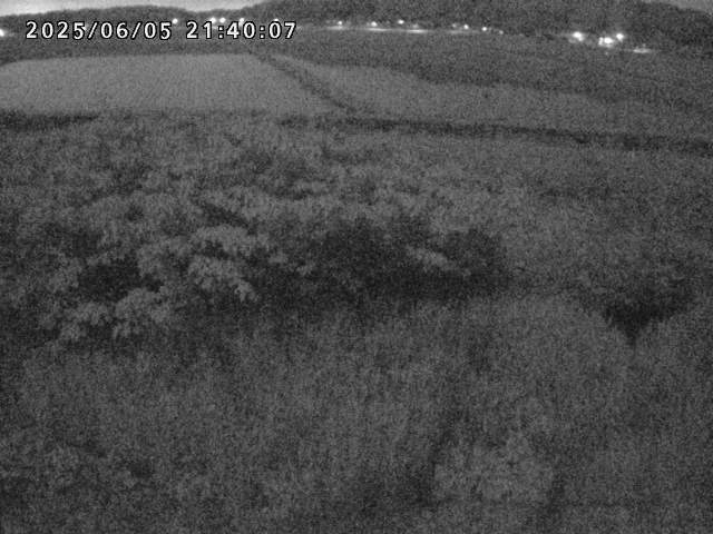 朝鍋川１2025/06/06 1:40:00