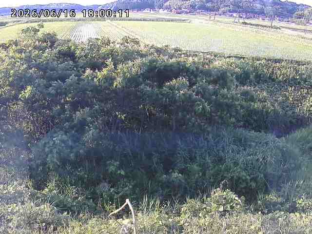 朝鍋川１2026/06/17 14:20:00