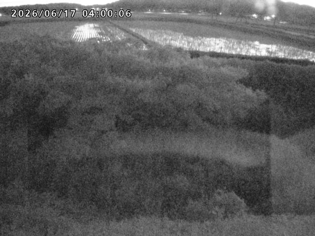 朝鍋川１2026/06/17 14:20:00