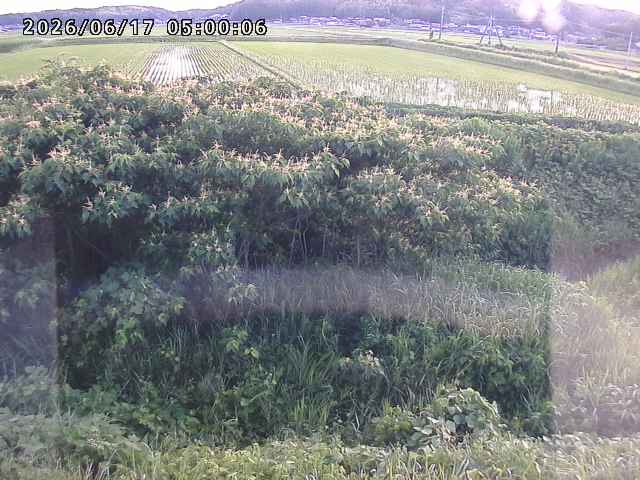 朝鍋川１2026/06/17 14:20:00
