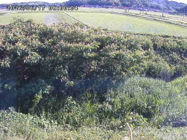 朝鍋川１2026/06/17 14:20:00