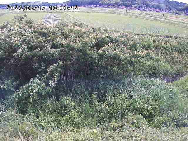朝鍋川１2026/06/17 14:20:00