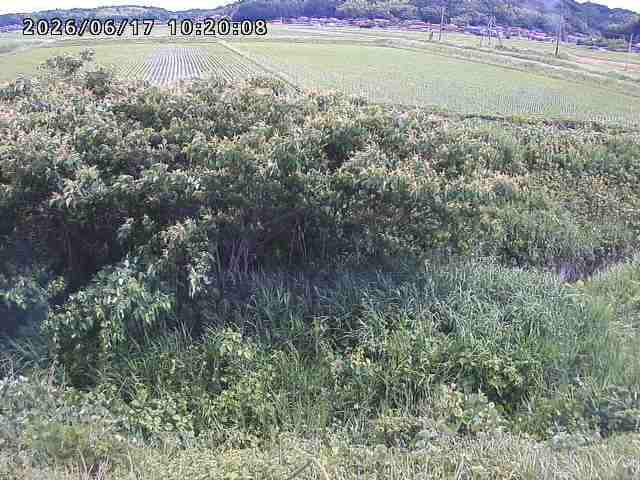 朝鍋川１2026/06/17 14:20:00