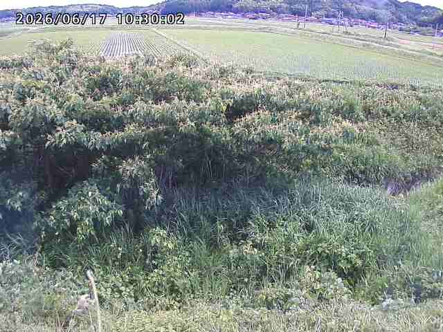 朝鍋川１2026/06/17 14:20:00