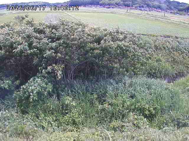朝鍋川１2026/06/17 14:20:00