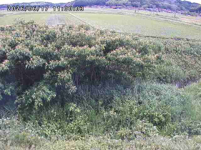朝鍋川１2026/06/17 14:20:00