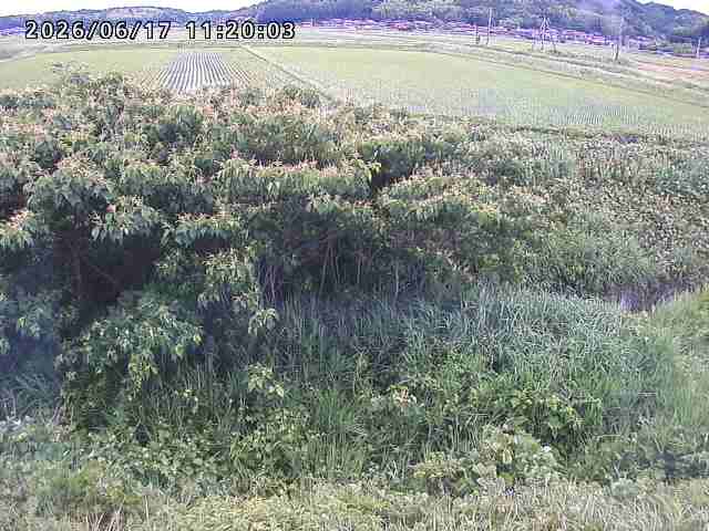 朝鍋川１2026/06/17 14:20:00