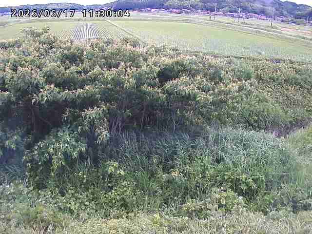 朝鍋川１2026/06/17 14:20:00