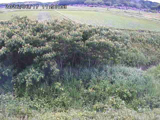 朝鍋川１2026/06/17 14:20:00