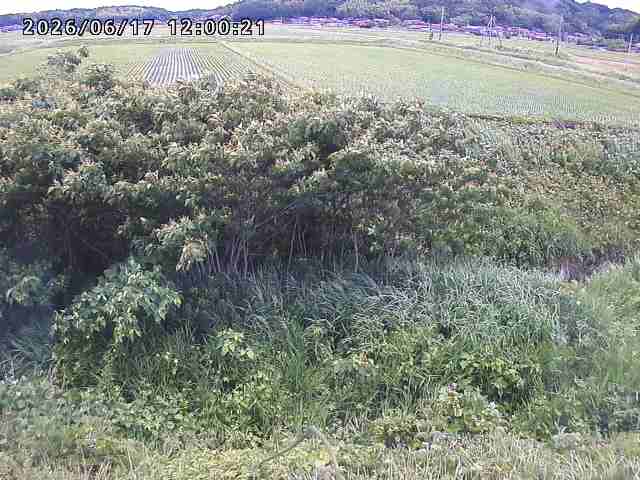 朝鍋川１2026/06/17 14:20:00