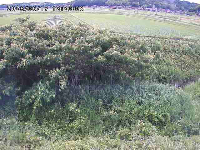 朝鍋川１2026/06/17 14:20:00