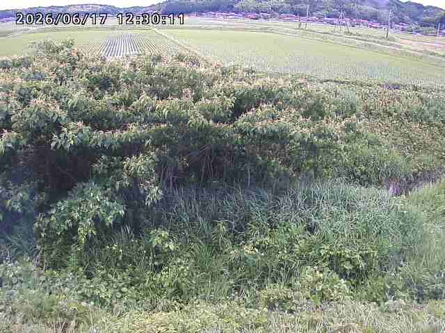 朝鍋川１2026/06/17 14:20:00