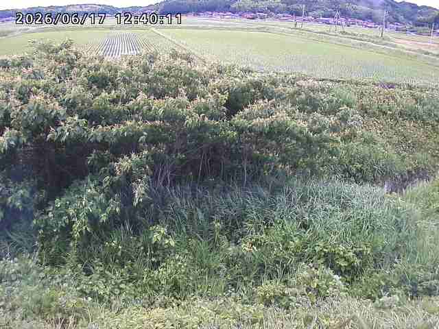 朝鍋川１2026/06/17 14:20:00