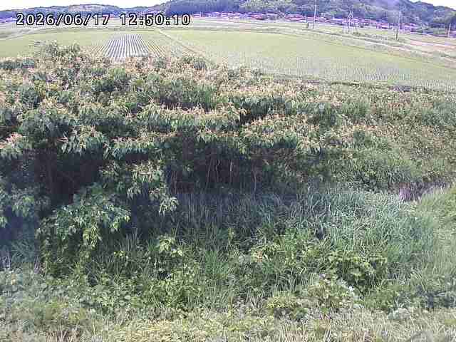 朝鍋川１2026/06/17 14:20:00
