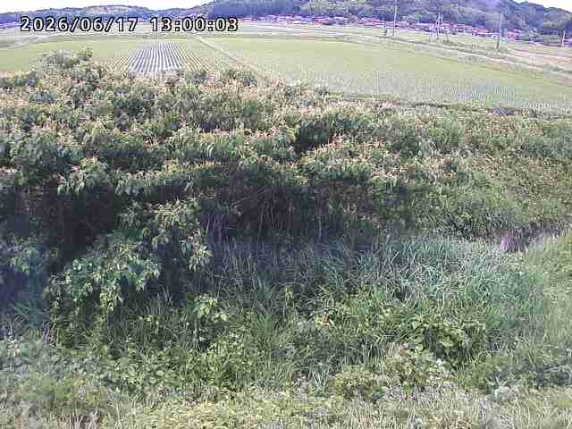 朝鍋川１2026/06/17 14:20:00