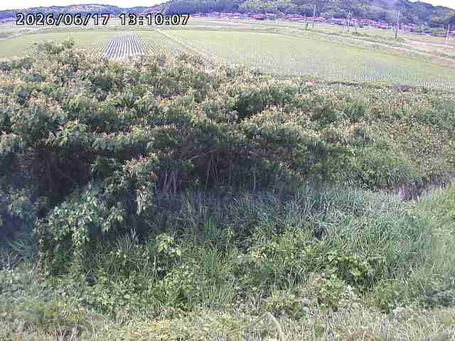朝鍋川１2026/06/17 14:20:00