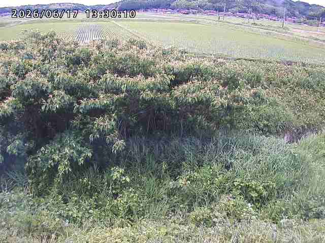 朝鍋川１2026/06/17 14:20:00