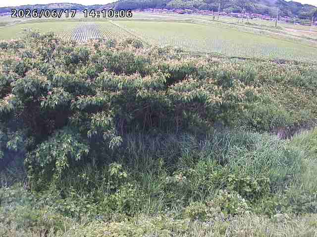 朝鍋川１2026/06/17 14:20:00