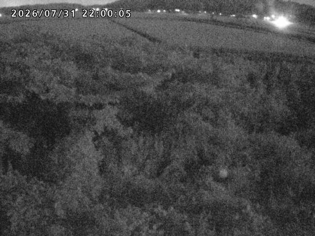 朝鍋川１2026/08/01 22:00:00