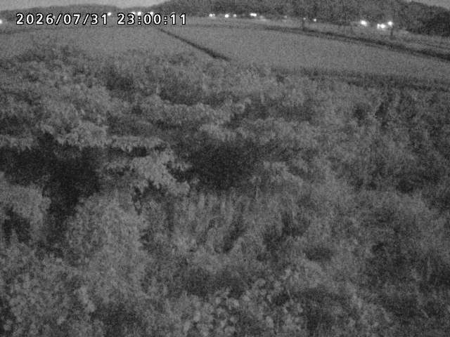 朝鍋川１2026/08/01 22:00:00