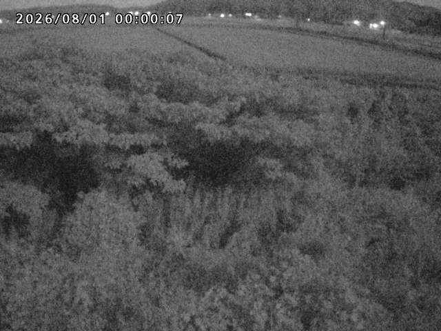 朝鍋川１2026/08/01 22:00:00
