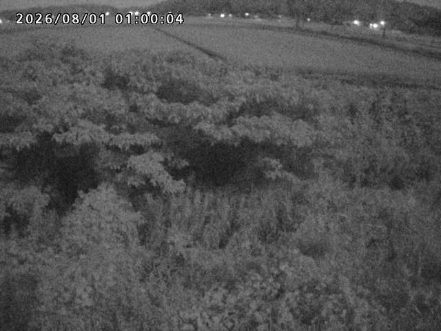 朝鍋川１2026/08/01 22:00:00
