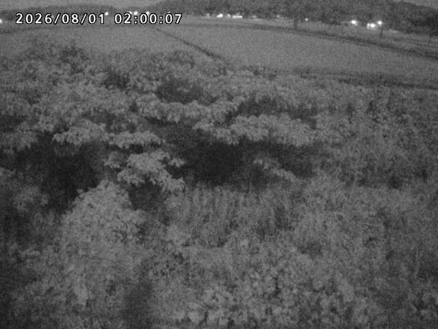 朝鍋川１2026/08/01 22:00:00