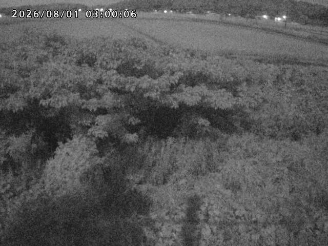 朝鍋川１2026/08/01 22:00:00