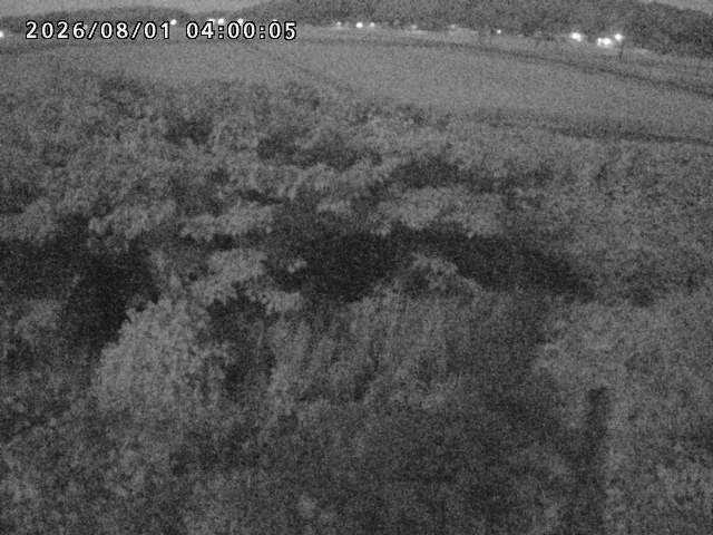 朝鍋川１2026/08/01 22:00:00