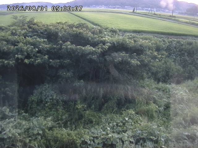 朝鍋川１2026/08/01 22:00:00