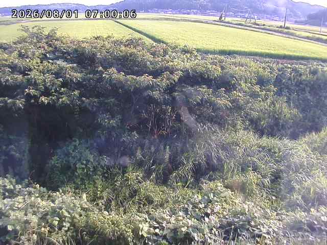 朝鍋川１2026/08/01 22:00:00