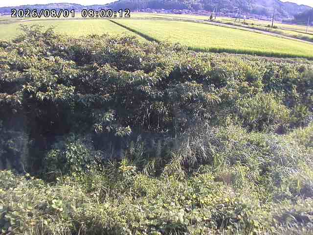 朝鍋川１2026/08/01 22:00:00
